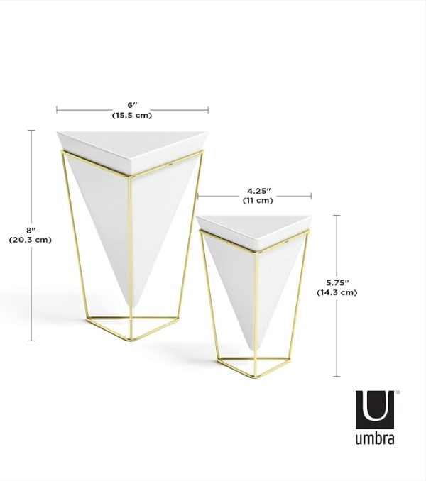 Umbra - 1004372-524 Trigg Desktop Planter Vase & Geometric Container-for Succulent, Air, Mini Cactus, Faux Plants and More, Desk, White/Brass - Image 3